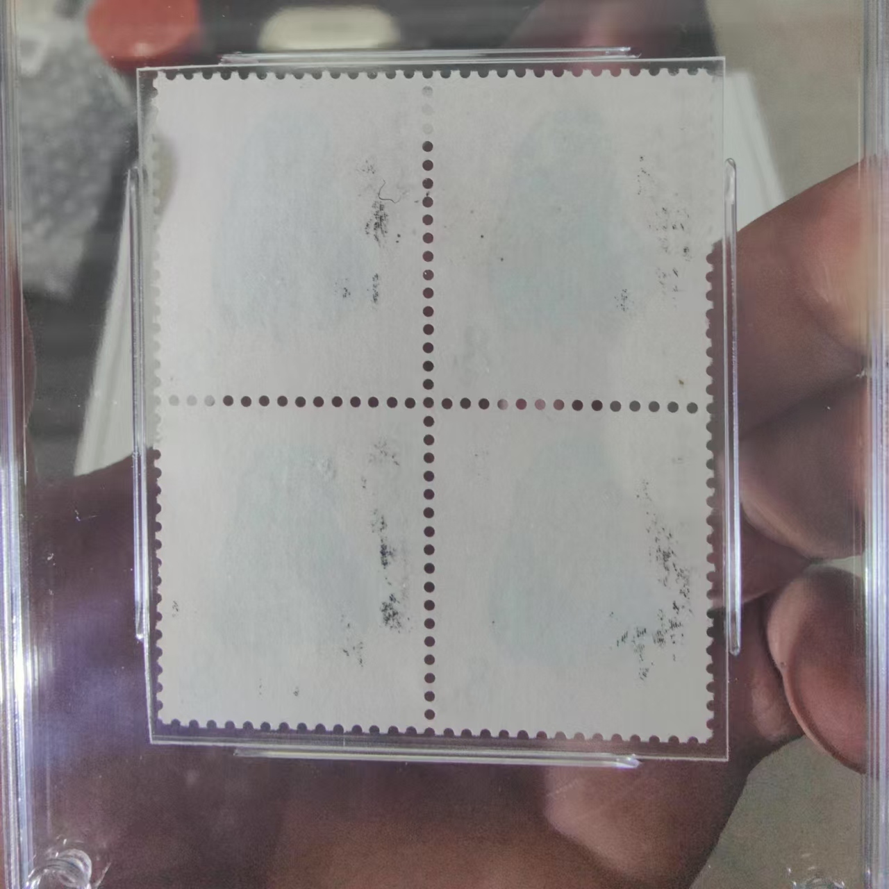 dvubb 图片点击可在新窗口打开查看