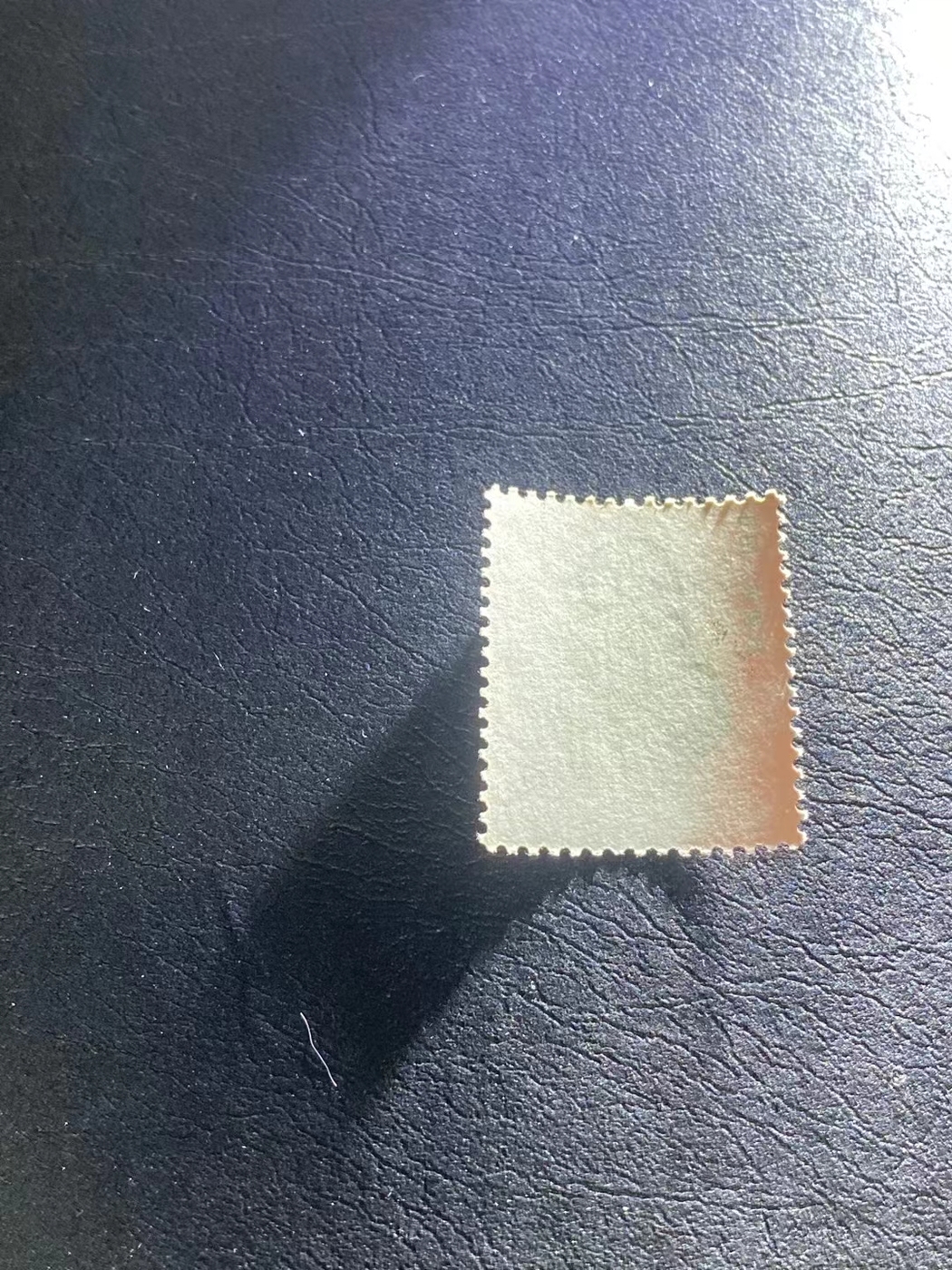 ͼƬ´ڴ򿪲鿴