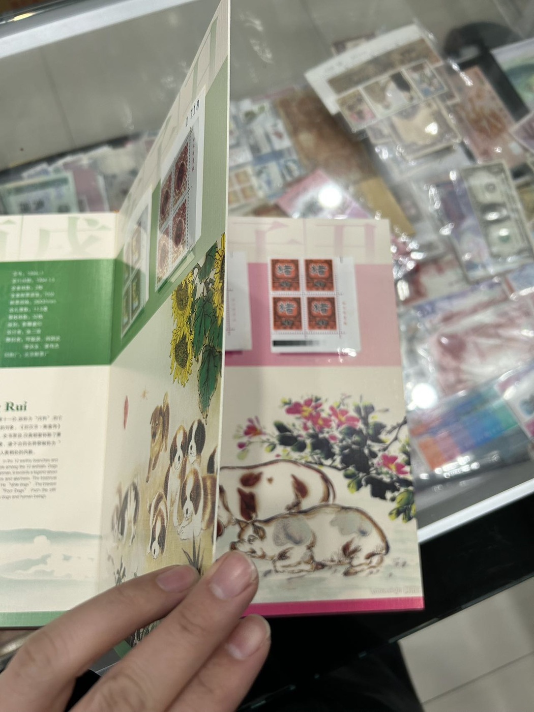 ͼƬ��������´��ڴ򿪲鿴